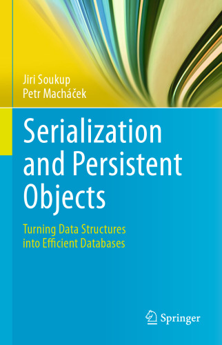 Serialization and Persistent Objects: Turning Data Structures into Efficient Databases