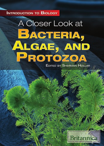 A closer look at bacteria, algae, and protozoa