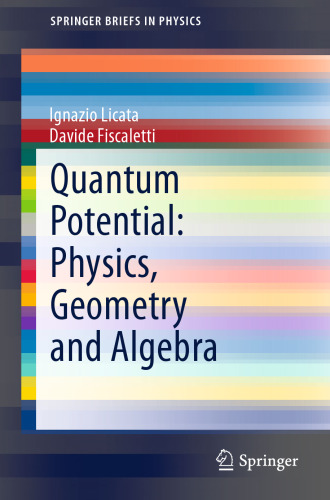 Quantum Potential: Physics, Geometry and Algebra