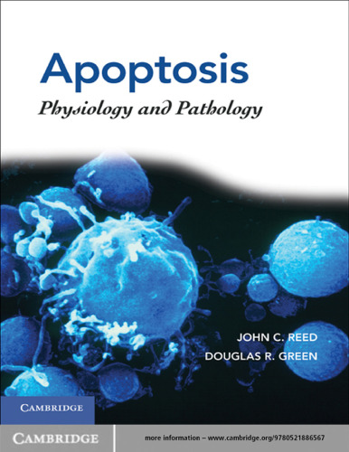 Apoptosis : physiology and pathology