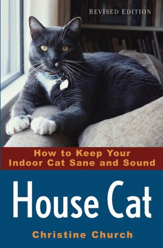 House cat : how to keep your indoor cat sane and sound