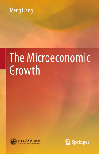 The microeconomic growth