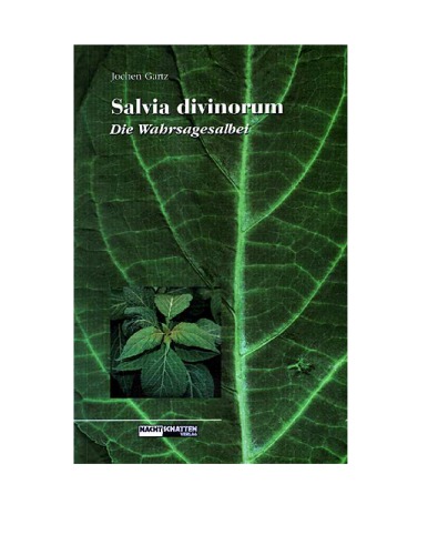 Salvia divinorum, 