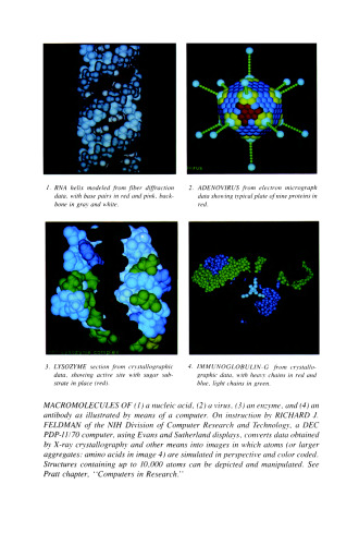 NIH: an Account of Research in its Laboratories and Clinics