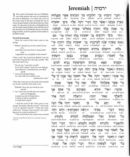 ESV Interlinear Hebrew - English Old Testament (Bible) - 4 of 4