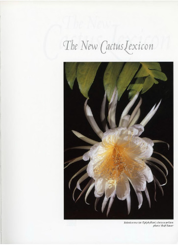 The New Cactus Lexicon.  Descriptions & Illustrations of the Cactus Family, compiled and edited by members of the International Cactaceae Systematics Group. [Two Volumes]