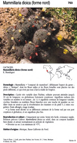 Le fichier encyclopédique des cactées et autres succulente