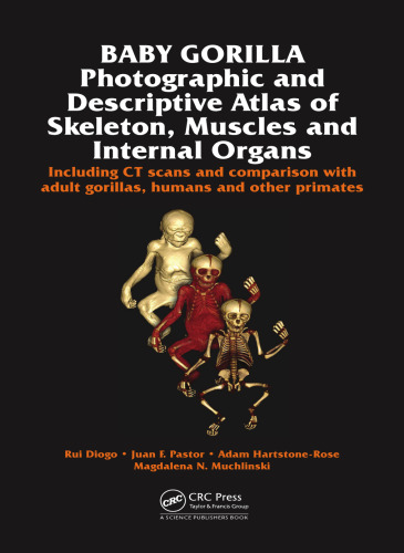 Baby Gorilla: Photographic and Descriptive Atlas of Skeleton, Muscles and Internal Organs