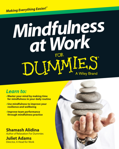 Mindfulness at Work For Dummies