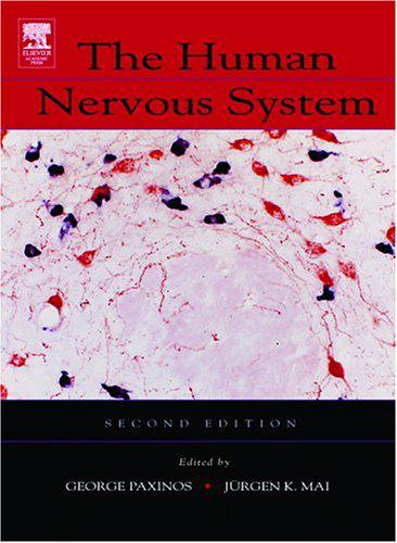 The Human Nervous System