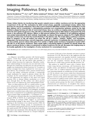 Imaging Poliovirus Entry in Live Cells