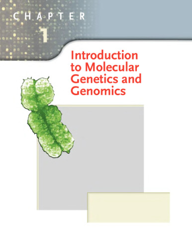 Introduction To Molecular Genetics And Geonomics - hearts