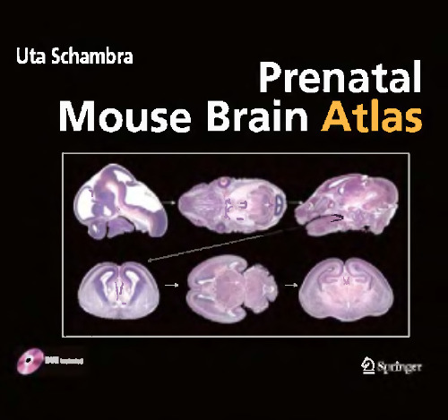 Prenatal Mouse Brain Atlas: Color images and annotated diagrams of: Gestational Days 12, 14, 16 and 18 Sagittal, coronal and horizontal section