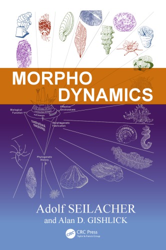 Morphodynamics