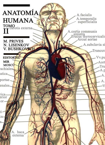 Anatomía Humana