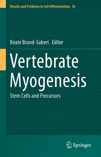 Vertebrate Myogenesis: Stem Cells and Precursors