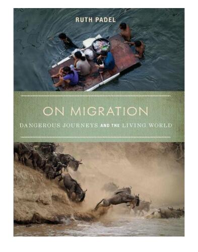 On Migration: Dangerous Journeys and the Living World