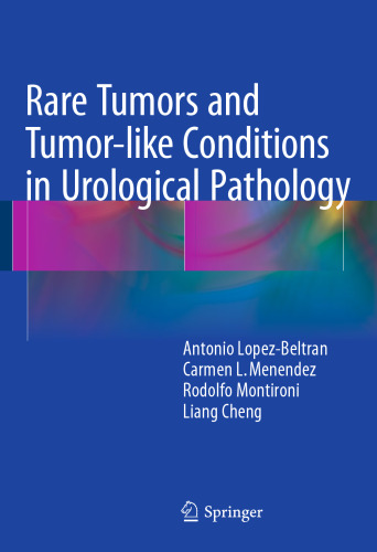 Rare Tumors and Tumor-like Conditions in Urological Pathology