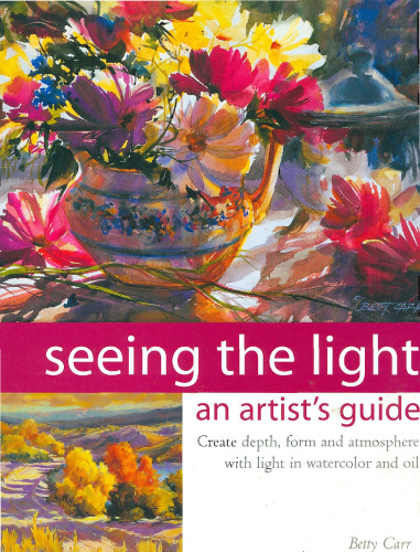 Seeing the light : an artist's guide