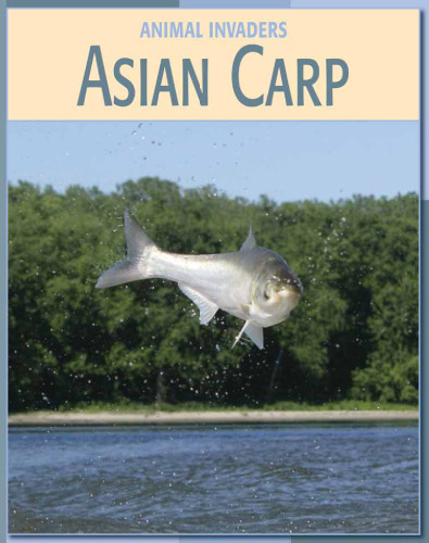 Asian Carp