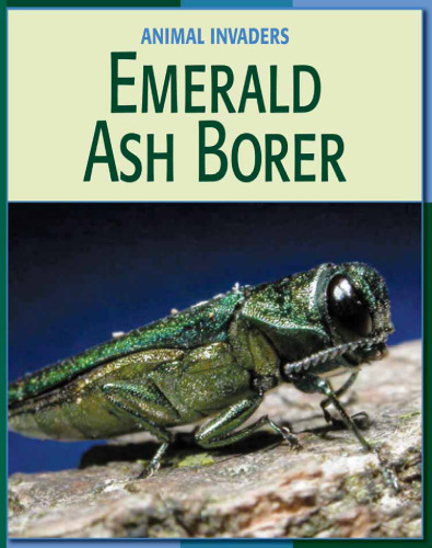 Emerald Ash Borer