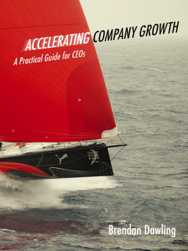 Accelerating Company Growth. A Practical Guide for CEOs