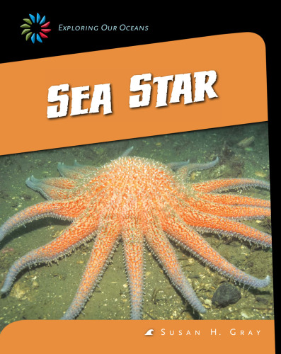 Sea Star