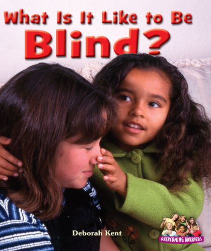 What Is It Like to Be Blind?