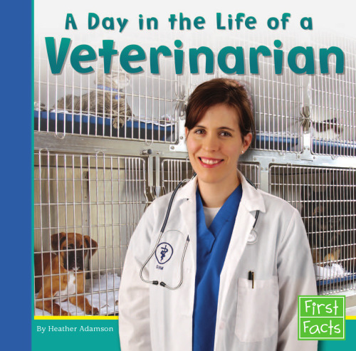 A Day in the Life of a Veterinarian