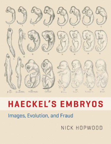 Haeckel's Embryos: Images, Evolution, and Fraud