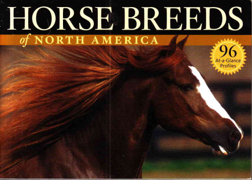 Horse Breeds of North America