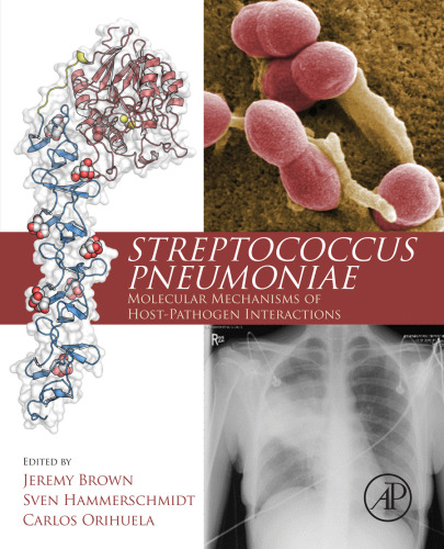 Streptococcus Pneumoniae: Molecular Mechanisms of Host-Pathogen Interactions