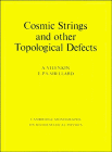 Cosmic strings and other topological defects