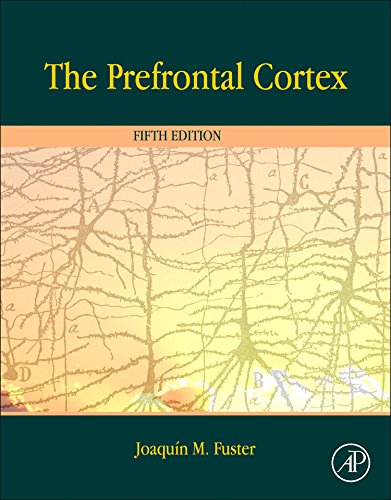 The Prefrontal Cortex, Fifth Edition