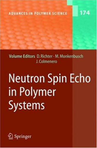 Neutron Spin Echo In Polymer Systems