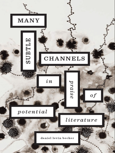 Many Subtle Channels: In Praise of Potential Literature