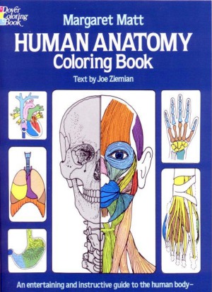 Human Anatomy Coloring Book