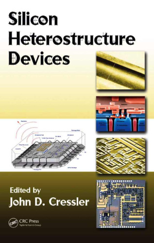 Silicon Heterostructure Devices