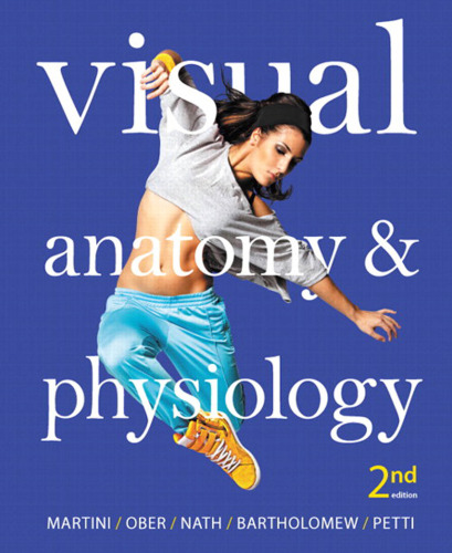 Visual Anatomy & Physiology