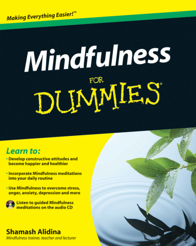 Mindfulness For Dummies