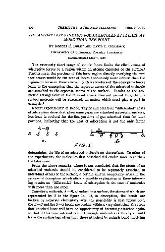 The Adsorption Kinetics for Molecules Attached at More than One Point