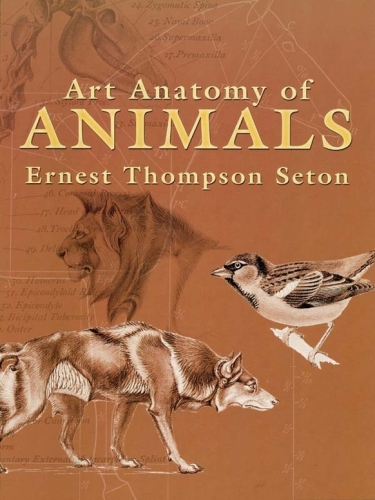 Art Anatomy of Animals