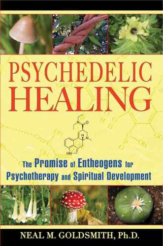 Psychedelic Healing: The Promise of Entheogens for Psychotherapy and Spiritual Development