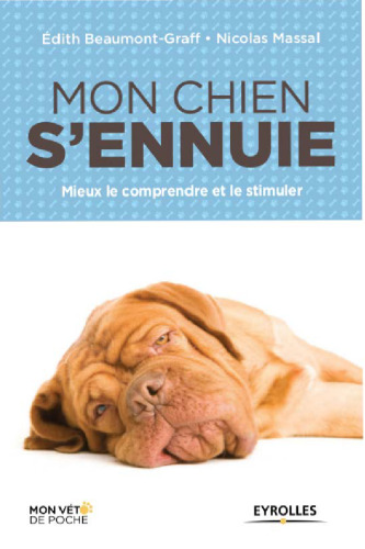 Mon chien s'ennuie : Mieux le comprendre et le stimuler