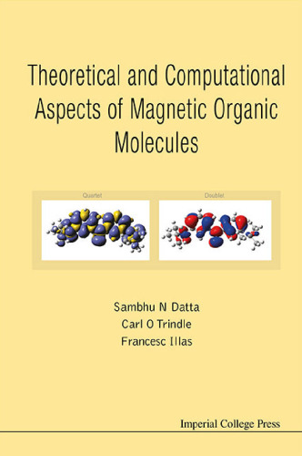 Theoretical and Computational Aspects of Magnetic Organic Molecules