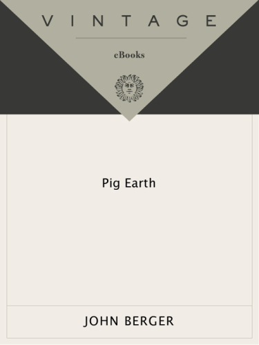 Pig earth