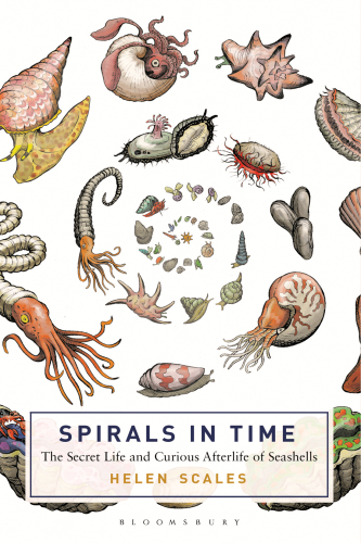 Spirals in Time, The : The Secret Life and Curious Afterlife of Seashells