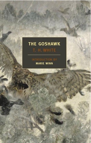 The goshawk