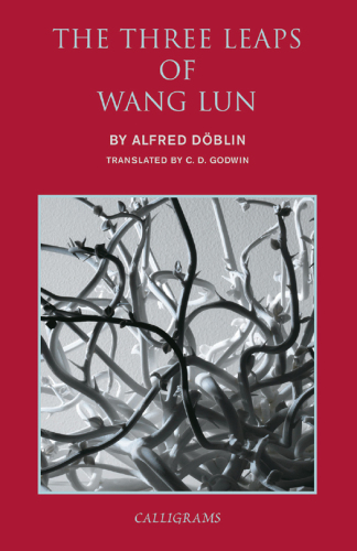 The three leaps of Wang Lun : a Chinese novel