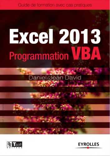 Excel 2013 : Programmation VBA